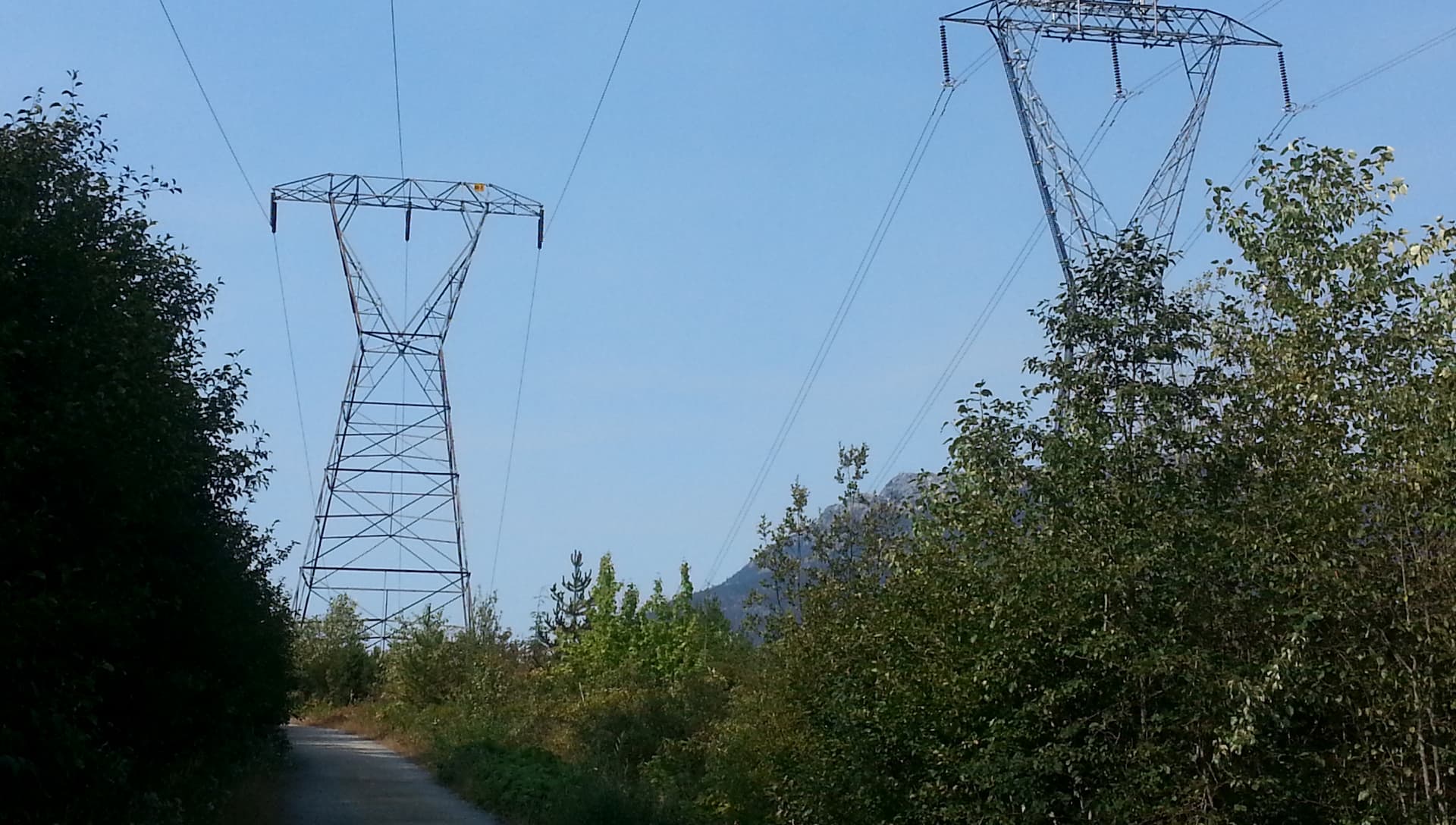 AI-powered vegetation management software for utility power lines